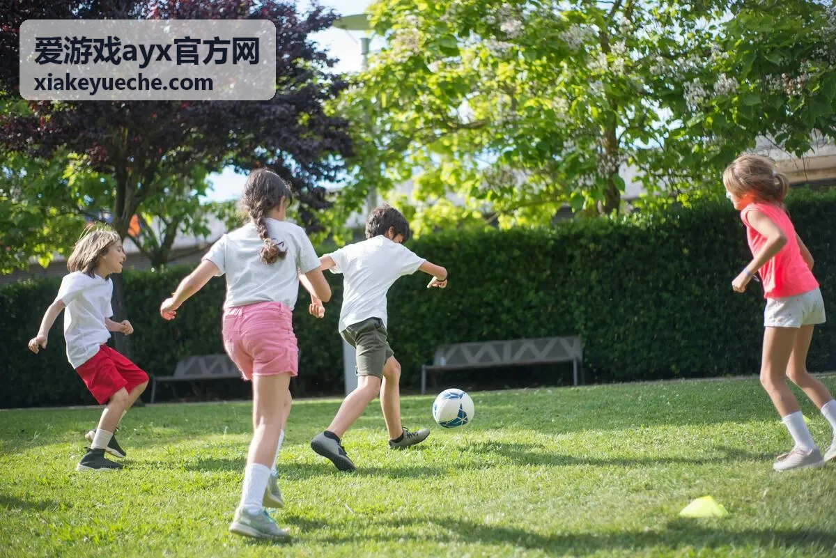 爱游戏ayx官方网账号安全中心登录防护示意画面