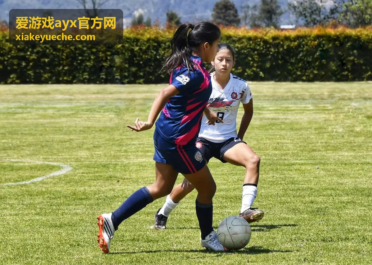 爱游戏ayx官方网游戏专区速览的主题分区配图