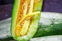 娱乐718网红吃瓜,网红吃瓜盛宴，揭秘娱乐圈幕后真相