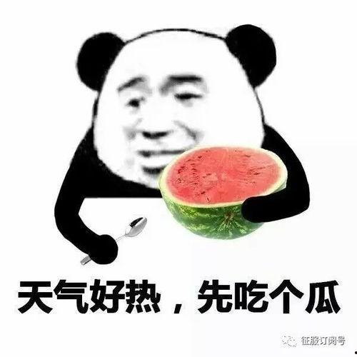 安排好行程娱乐吃瓜酱,尽享娱乐美食之旅